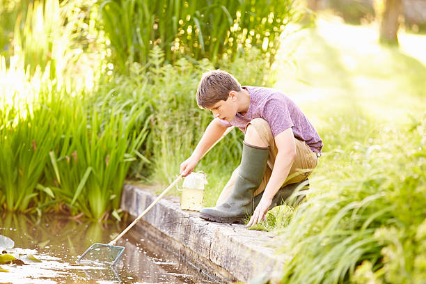 istock Boy Fishing In Pond With Net And Jar 510042145