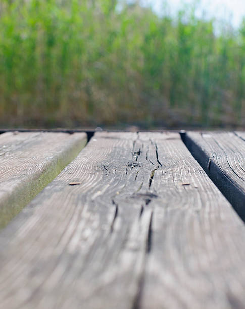 istock Wooden jetty closeup, selective focus 510042909