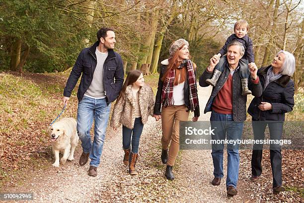 Campagna Multigenerazione Famiglia In Piedi - Fotografie stock e altre immagini di Famiglia - Famiglia, Famiglia multigenerazionale, Inverno