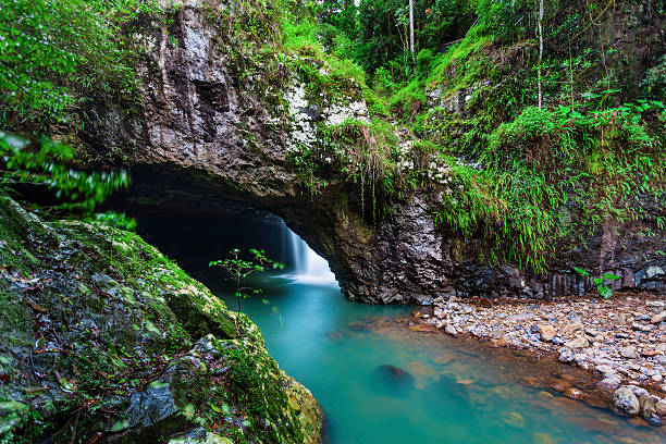 자연스럽다 구름다리 - rainforest australia river waterfall 뉴스 사진 이미지