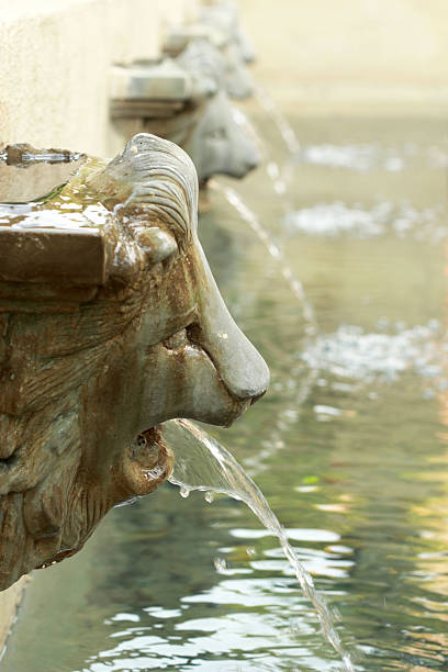 istock lion statue  spitting water - vintage style 510043807