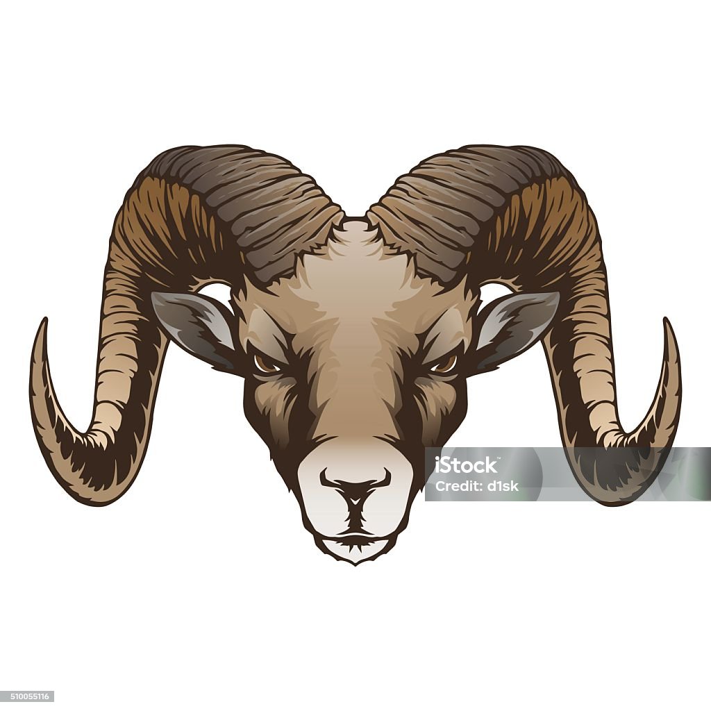 Ram Head Stock Illustration - Download Image Now - Ram - Animal, Horned,  Large - iStock