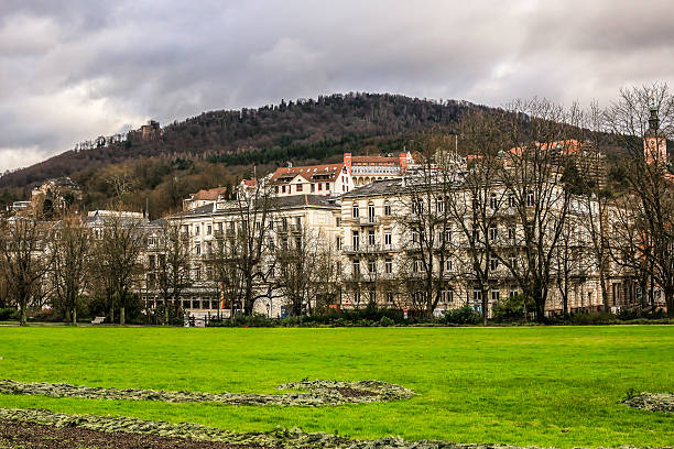 istock Green winter of Baden-Baden 510058876