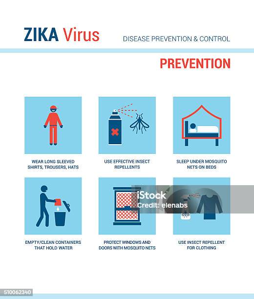 Zika Virus Prevention Stock Illustration - Download Image Now - Mosquito Netting, Window, Insecticide