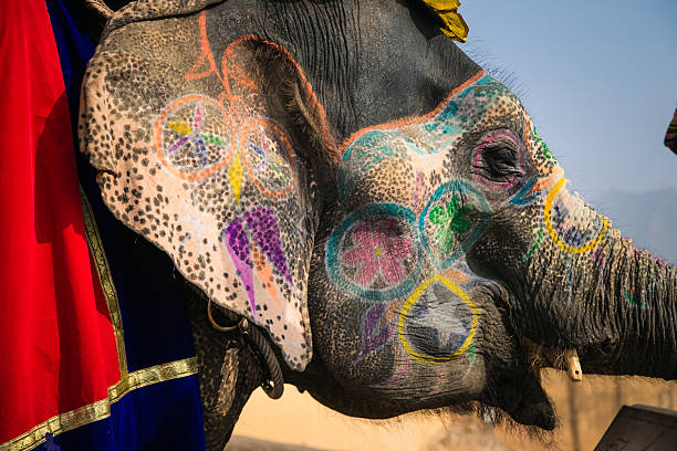 istock Indian elephant in a festive coloration 510065758