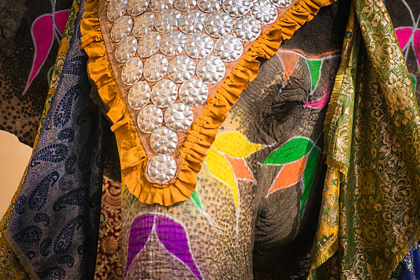 istock Indian elephant in a festive coloration 510065914