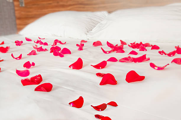 istock Rose petals on white bedding - romantic bedroom scenery 510065931