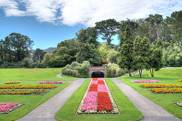 парк золотые ворота в сан-франциско - golden gate park стоковые фото и изображения