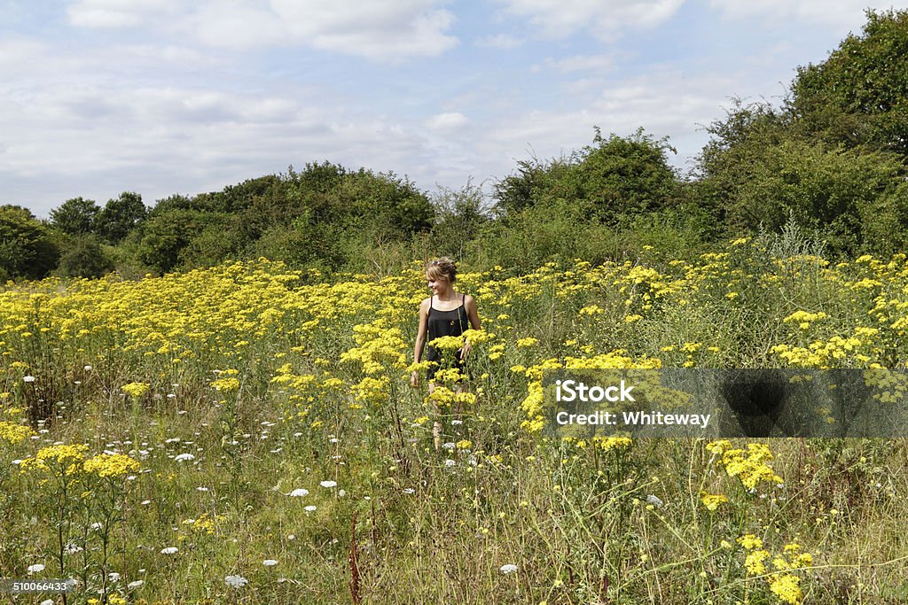Outdoor girl in wildflower meadow yellow ragwort Mitcham Common Summer 2014 saw a spectacular outbursting of yellow ragwort flowers (Senecio jacobaea) on Mitcham Common in Surrey, England. Appropriately dressed for the hot summer weather is this outdoor girl model. 20-24 Years Stock Photo