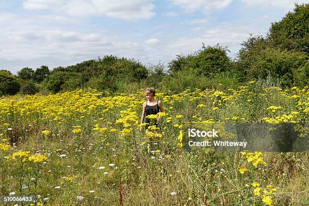 Outdoor Girl In Wildflower Meadow Yellow Ragwort Mitcham Common Stock Photo - Download Image Now