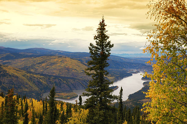 istock Yukon River:View from  Midnight Dome Lookout ,Dawson City,Yukon,Canada. 510066597