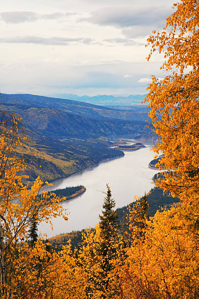 istock Yukon River:View  from Midnight Dome,Dawson City,Yukon,Canada. 510066599