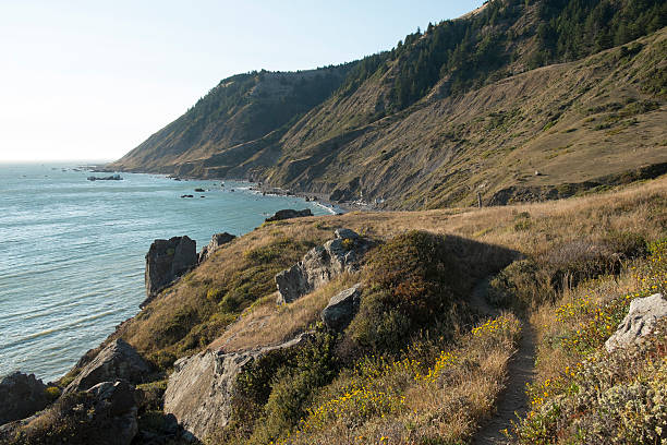 "lost coast" von nordkalifornien, bezirk humboldt - mendocino county northern california california coastline stock-fotos und bilder