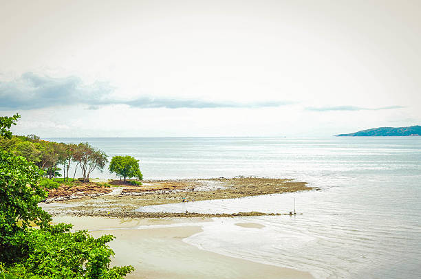 praia tropical - foto de acervo