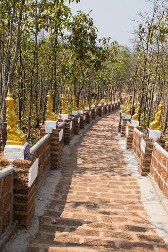 golden asian angel statue beside the walkway in forest