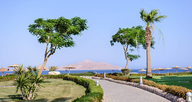 istock Coastal road on a tropical resort 510069960