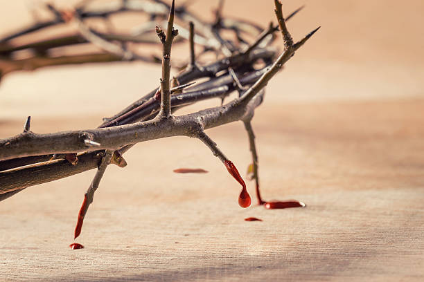 coroa de espinhos com sangue escorrendo. - christ thorn - fotografias e filmes do acervo