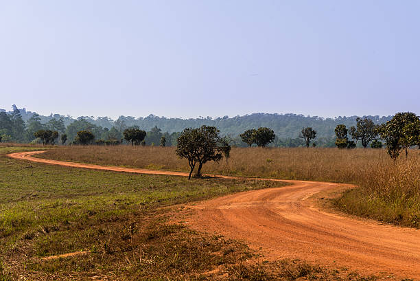 istock S-curve in dirt road 510074602