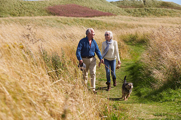 istock Senior Couple Taking Dog For Walk In Countryside 510076014