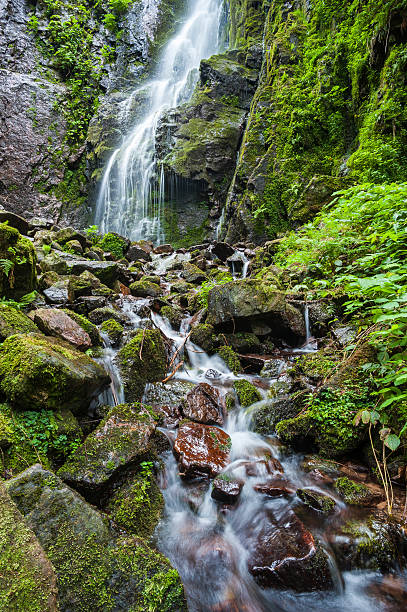istock The Burgbach waterfall in Bad Rippoldsau-Schapbach. 510077066