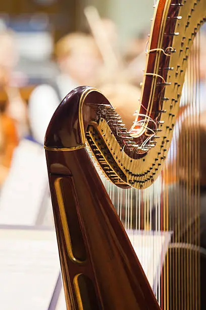 Photo of Detail of harp