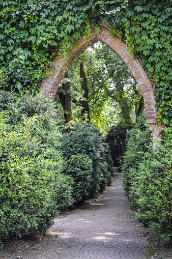 Garden green arch entry gate
