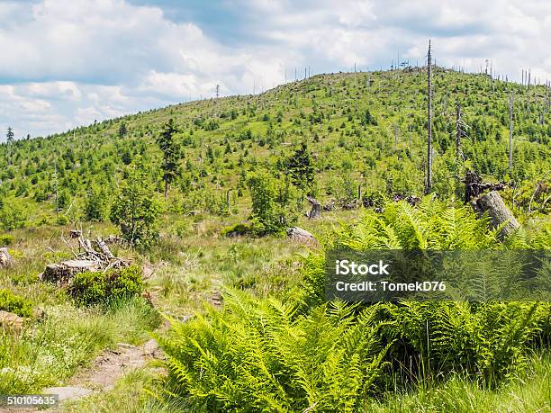 Green Stock Photo - Download Image Now - Bavaria, Bavarian Forest, Blue