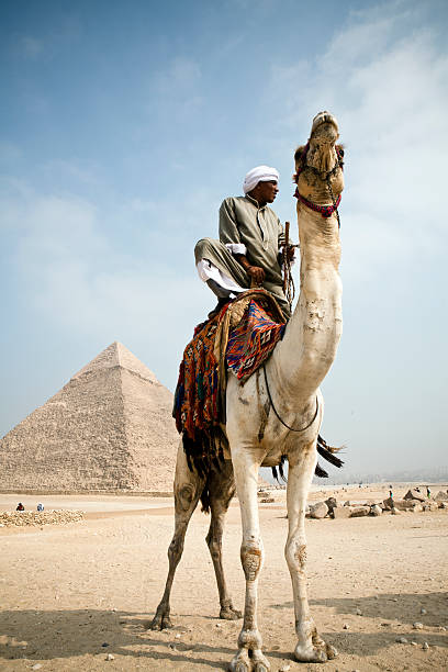 베두인 - africa archaeology architecture bedouin 뉴스 사진 이미지