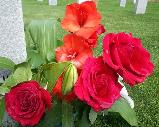 Graveside Roses stock photo