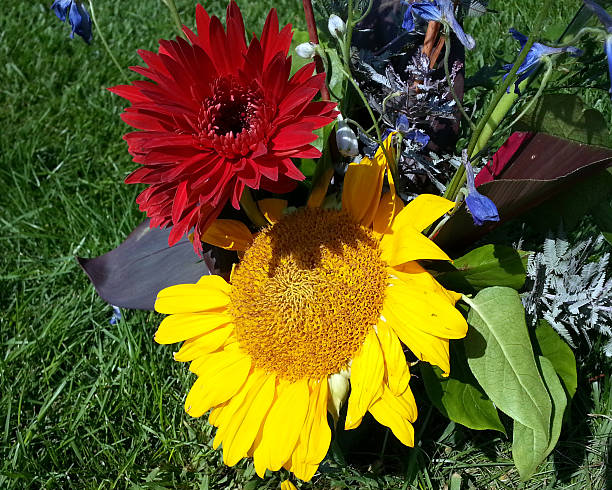Bright Flowers stock photo