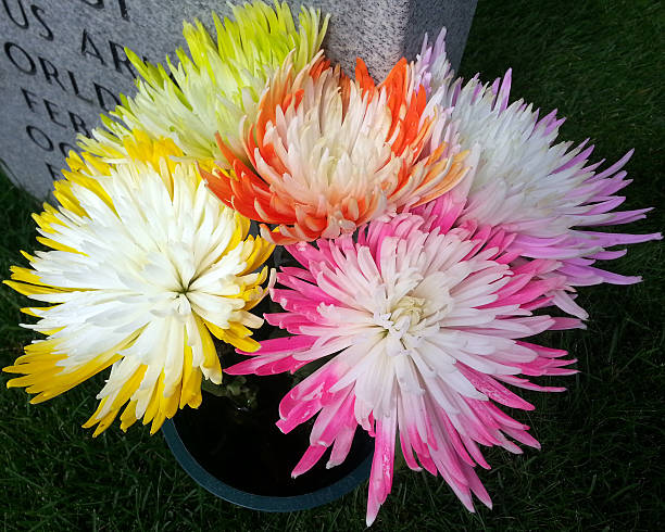 Graveside Florals stock photo