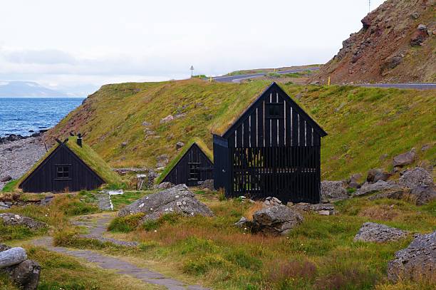 istock Nordic houses 510148034