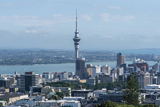 istock Auckland city view 510149052
