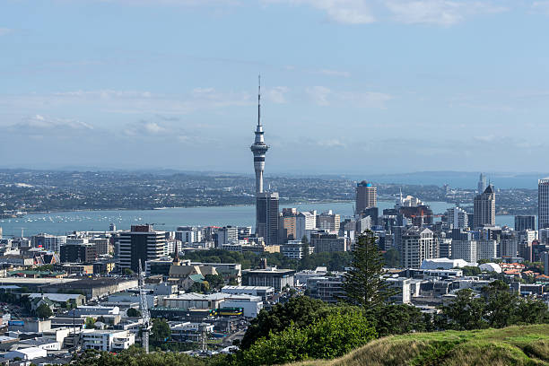 istock Auckland city view 510149462