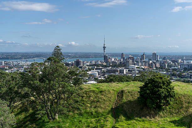 istock Auckland city view 510150026