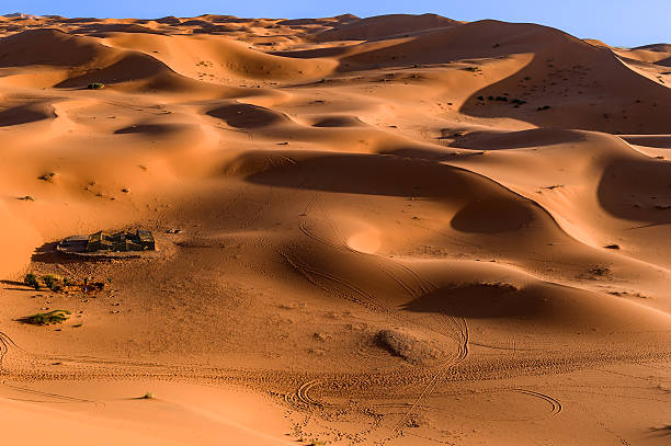 istock Bedouin nomad tent camp, Erg Chebbi, Morocco, Sahara, Morocco 510151014