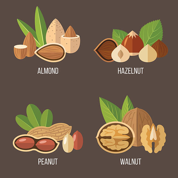 nüsse satz - walnut nut nutshell peanut stock-grafiken, -clipart, -cartoons und -symbole