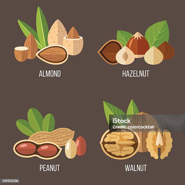 Nuts Set Stock Illustration - Download Image Now - Walnut, Nut - Food, Hazelnut