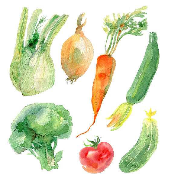 illustrazioni stock, clip art, cartoni animati e icone di tendenza di acquarello set di verdure - vegetable garden illustrations