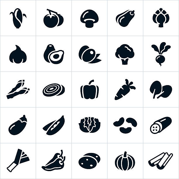 bildbanksillustrationer, clip art samt tecknat material och ikoner med vegetable icons - radishes