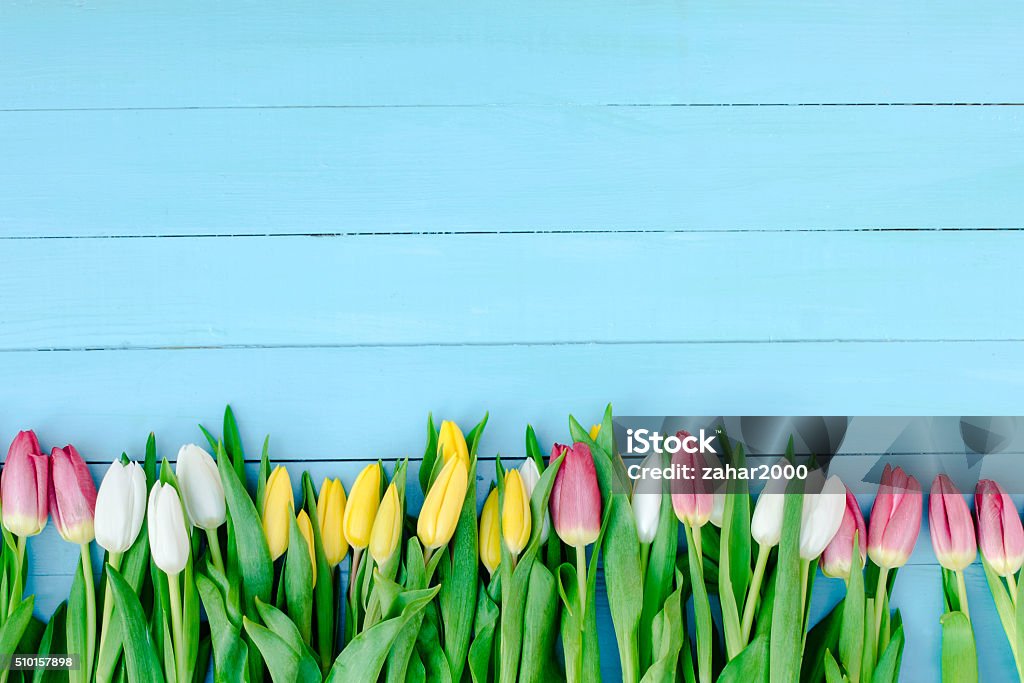 Tulipanes - Foto de stock de Marzo libre de derechos