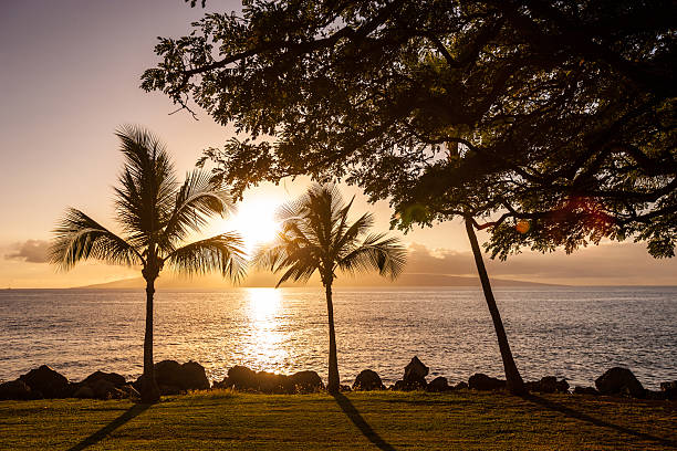 istock Sunset on the beach, Maui, Hawaii, USA 510158178