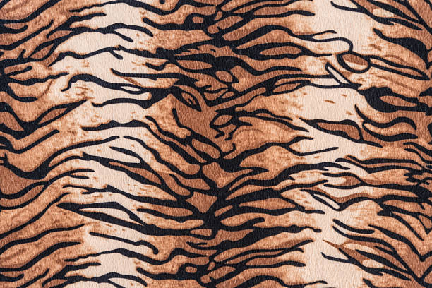 texture of tiger pelt and fur for background
