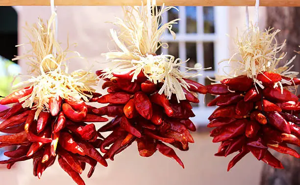 Three red ristras of red chile pepper pods, tied with straw ribbons.  A traditional American Southwest decorative accent, particularly for Christmas. 