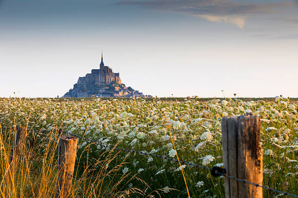 flowering meadow at Mont Saint-Michel flowering meadow in the French countryside with the village of Mont Saint-Michel in the background; Mont Saint-Michel, France marazion photos stock pictures, royalty-free photos & images