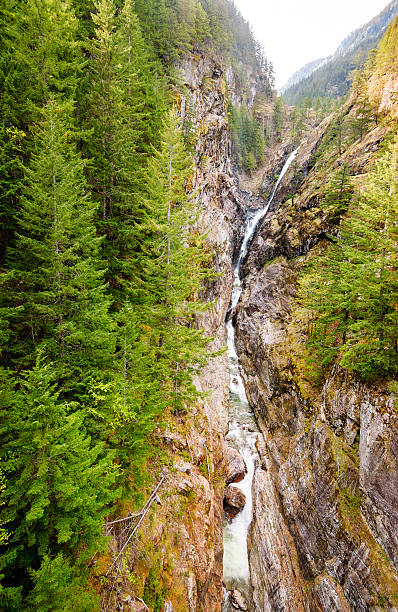 istock North Cascades National Park 510161468