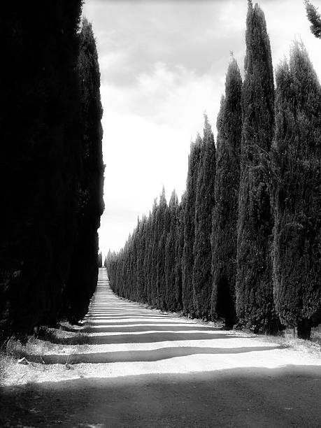 istock Tuscan farmhouse 510161544