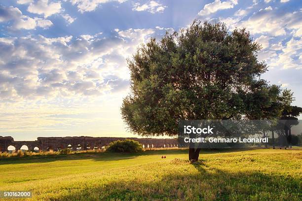 Ancient Aqueduct Claudio Rome Stock Photo - Download Image Now - Ancient, Antique, Aqueduct