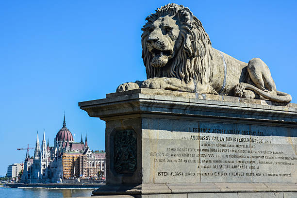 лев на цепной мост и парламен�т в будапеште, венгрия - chain bridge budapest bridge lion стоковые фото и изображения