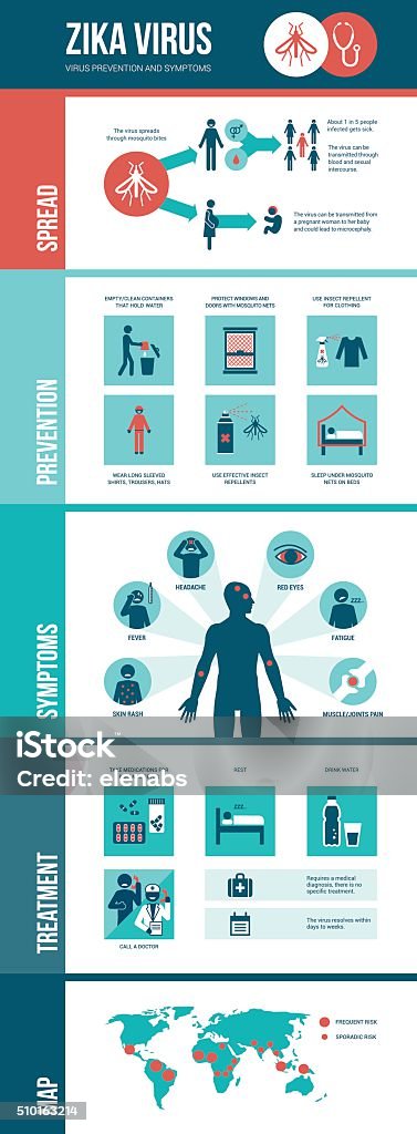 Zika virus infographic Zika virus infographic: prevention, symptoms and treatment Zika Virus stock vector